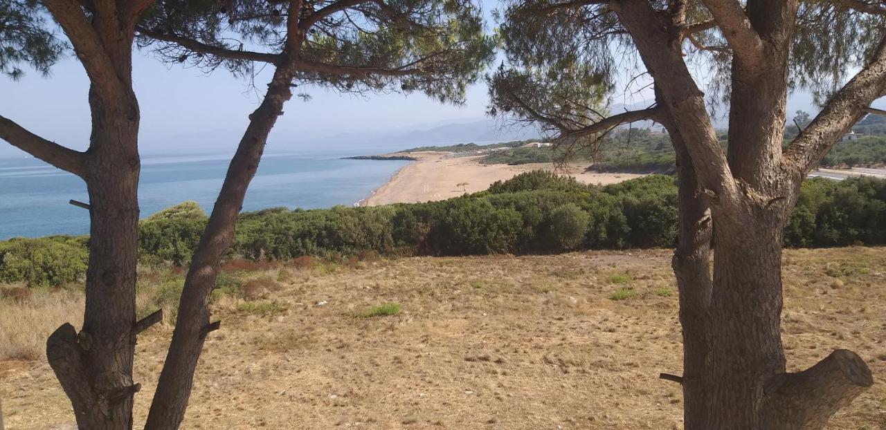 Villa Tzanetos Seaside Kyparissia Exterior foto