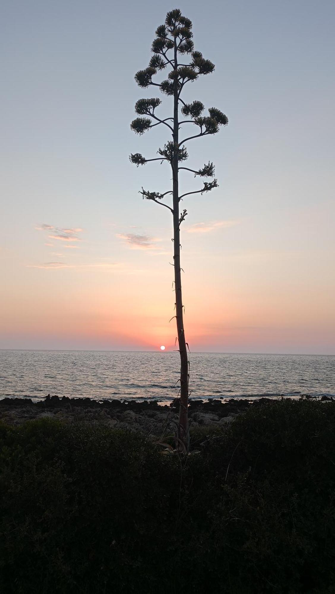 Villa Tzanetos Seaside Kyparissia Exterior foto